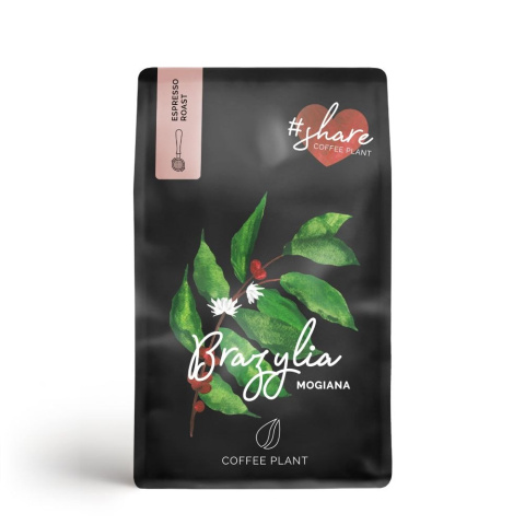 COFFEE PLANT - Brazylia Mogiana