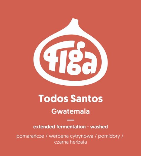 Figa Coffee - Gwatemala Todos Santos Figa Coffee - Gwatemala Todos Santos