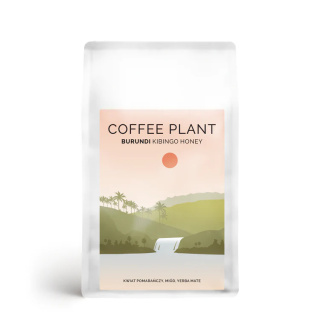 COFFEE PLANT - Burundi Kibingo - 250g