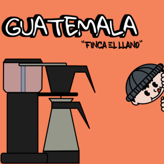 Runty Roaster - Gwatemala El Llano - 250g