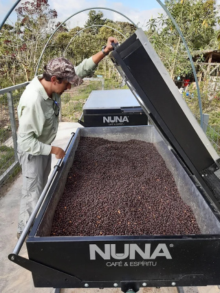 Sumo Coffee Roasters - Ekwador Sidra, San Agustín - 90g