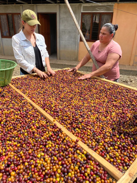 KB Coffee Roasters- Kostaryka El Trapiche - 250g KB Coffee Roasters- Kostaryka El Trapiche - 250g