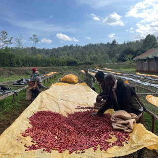 Nero Scuro - Kenia, Pauline Mumbi, Anaerobic Natural - 200g