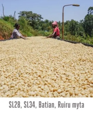 Good Coffee - Kenia Kamwangi - 250g