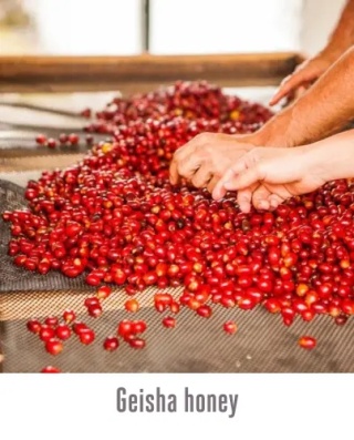 Good Coffee - Kolumbia Javier Sanchez - 250g