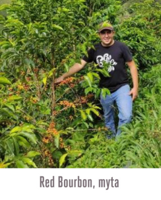 Good Coffee - Kolumbia Jhoan Vergara - 250g