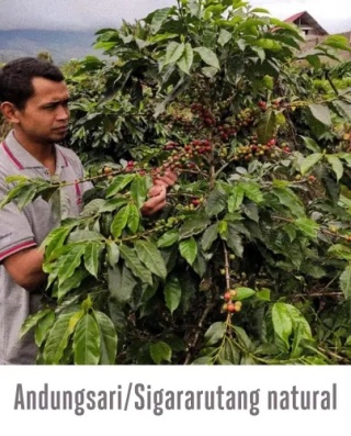 Good Coffee - Sumatra Rukun Saudara- 250g