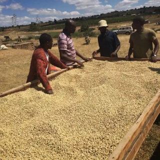LOT Coffee - Kolumbia Antunkaa Decaf, Bezkofeinowa - 250g