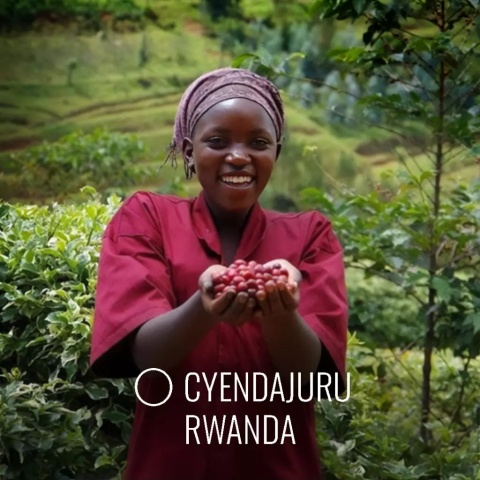LOT Coffee - Rwanda Cyendajuru - 250g LOT Coffee - Rwanda Cyendajuru - 250g
