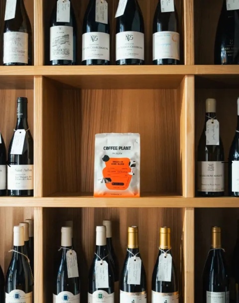 COFFEE PLANT - Brazylia, Wine Blush - 250g