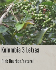 Good Coffee - Kolumbia 3 Letras, Pink Bourbon - 250g