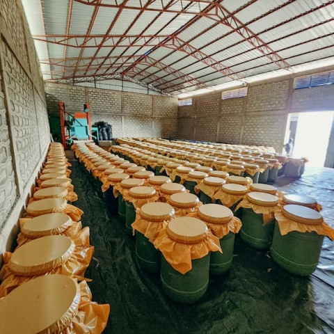 KB Coffee Roasters- Etiopia Banko Gotiti, Natural Carbonic- 250g