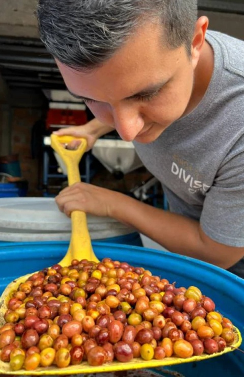 KB Coffee Roasters- Kolumbia El Diviso Typica mejorado- 250g