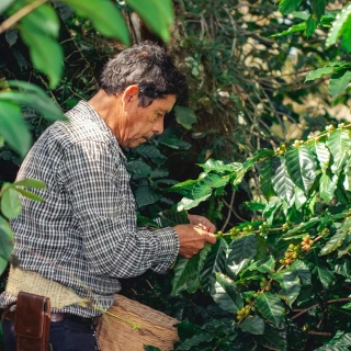 LOT Coffee - Meksyk, Oaxaca, Espresso - 250g