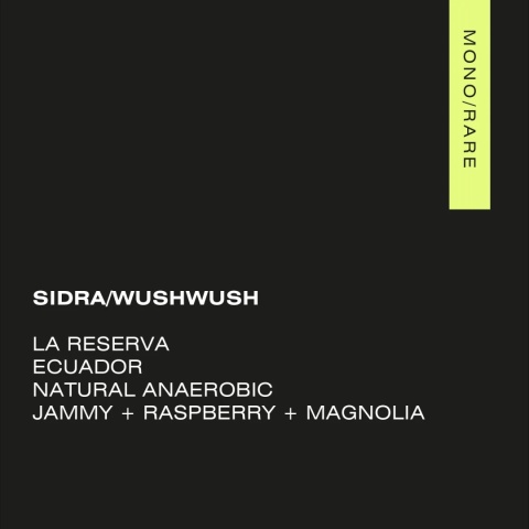 AMOC Coffee - Ekwador La Reseva, Sidra_Wush Wush- 100g