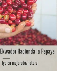 Good Coffee - Ekwador, Hacienda la Papaya - 250g