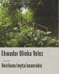 Good Coffee - Ekwador, Olinka Velez - 250g
