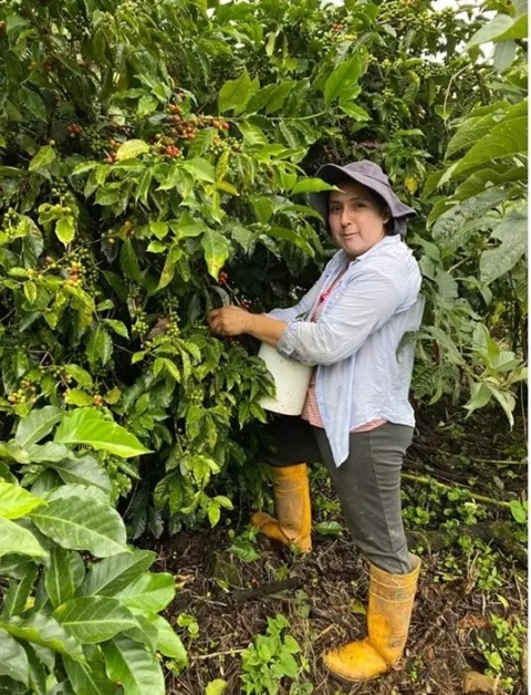 kawa Good Coffee - Ekwador, Olinka Velez - 250g