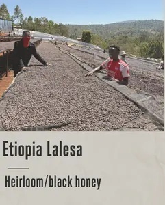 Good Coffee - Etiopia Gedeb Lalesa, Black Honey- 250g