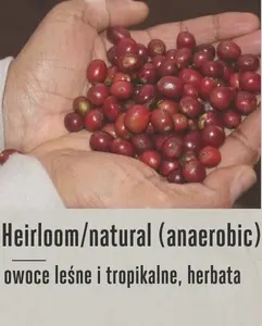 Good Coffee - Etiopia Negele Gorbitu, Natural - 250g