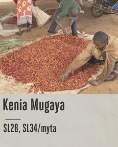 Good Coffee - Kenia Mugaya, Washed - 250g