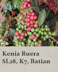 Good Coffee - Kenia Ruera, Natural - 250g