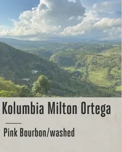 Good Coffee - Kolumbia Milton Ortega, Washed- 250g