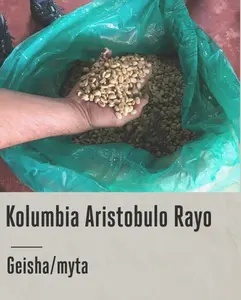 Good Coffee - Kolumbia Aristobulo Rayo, Geisha, Washed- 250g