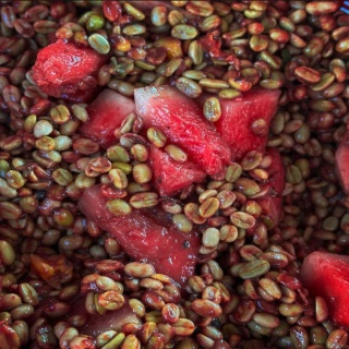 LOT Coffee - Kolumbia Watermelon, Co-ferment - 150g