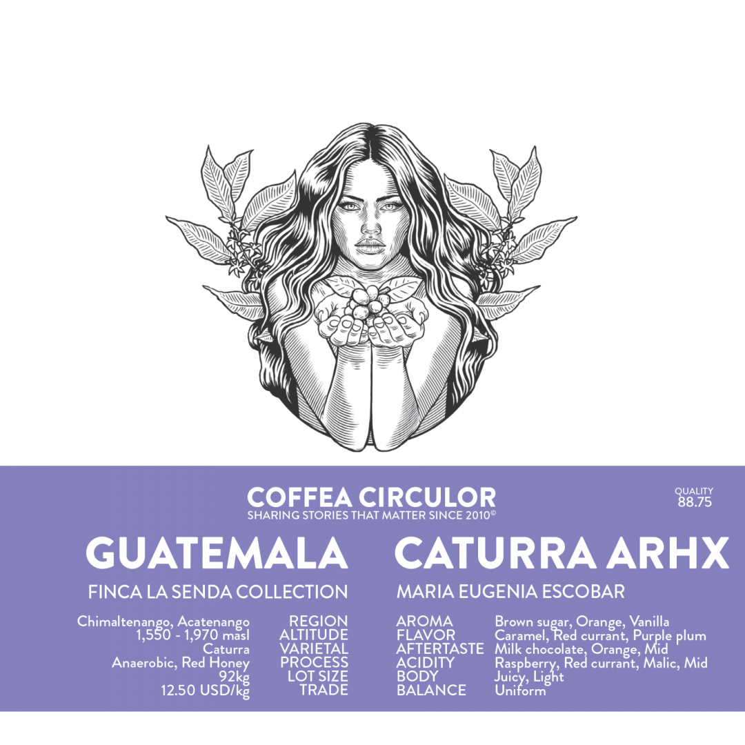 Coffea Circulor - Gwatemala Finca La Senda Caturra Anaerobic Red Honey 250g