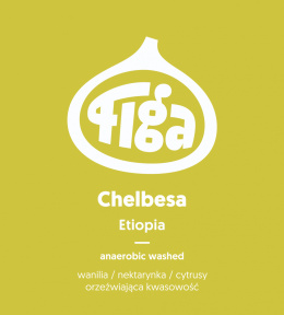 Figa Coffee - Etiopia Chelbesa Anaerobic