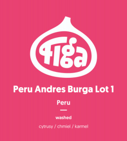 Figa Coffee - Peru Andres Burga Lot 1