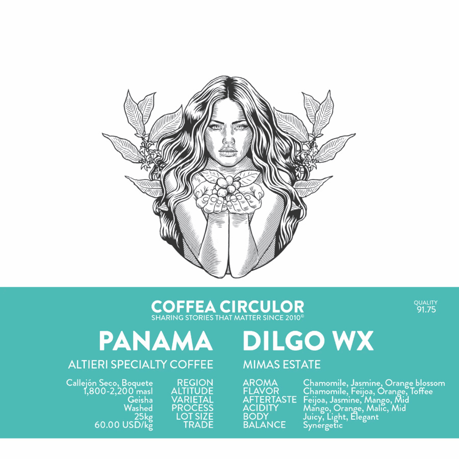 Panama Geisha kawa ziarnista wysokiej jakości Coffea Circulor