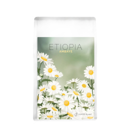 COFFEE PLANT - Etiopia Ambaye - 250g
