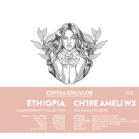 kawa ziarnista z etiopii obrobka myta coffea circulor