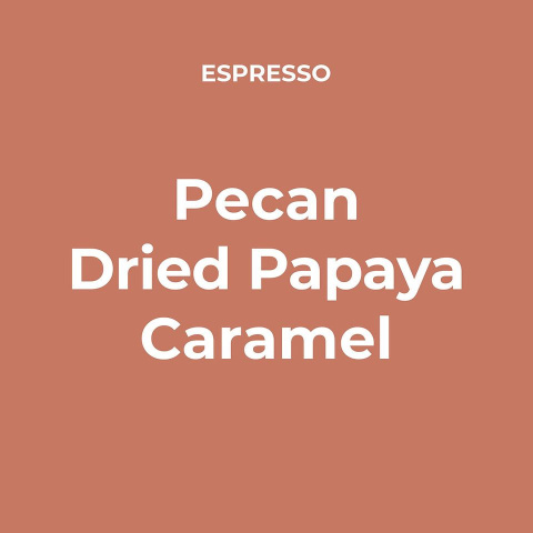 Populus Coffee - Brazylia Mulheres do Coparao 250g Populus Coffee - Brazylia Mulheres do Coparao 250g