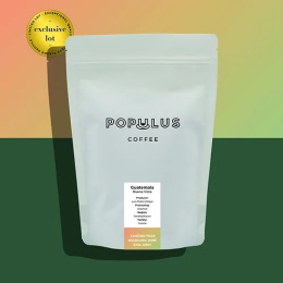 Populus Coffee - Gwatemala Buena Vista Geisha - 250g