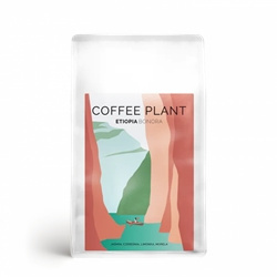 COFFEE PLANT - Etiopia Bonora - 250 g