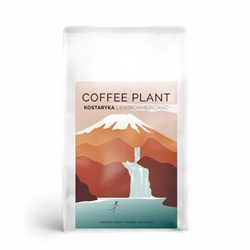 COFFEE PLANT - Kostaryka Centroamericano - 250g