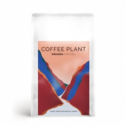 COFFEE PLANT - Rwanda Kirambo - 250g