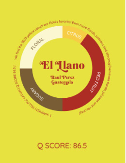 Heresy - Gwatemala El Llano - 252g