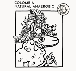 Kolumbia_naturalanaerobic_Sheepandraven
