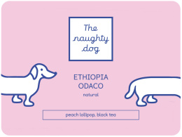 The Naughty Dog Coffee- Etiopia Odaco - 200g