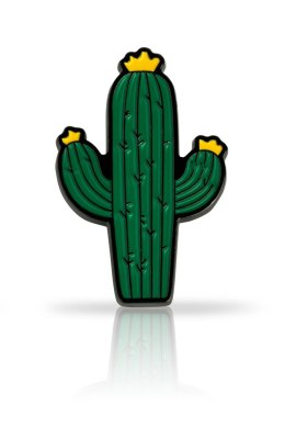 Pin kaktus