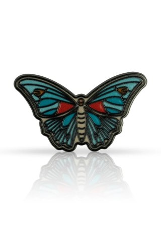 Pin motyl