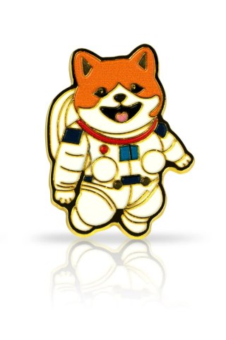 Pin shiba w kosmosie