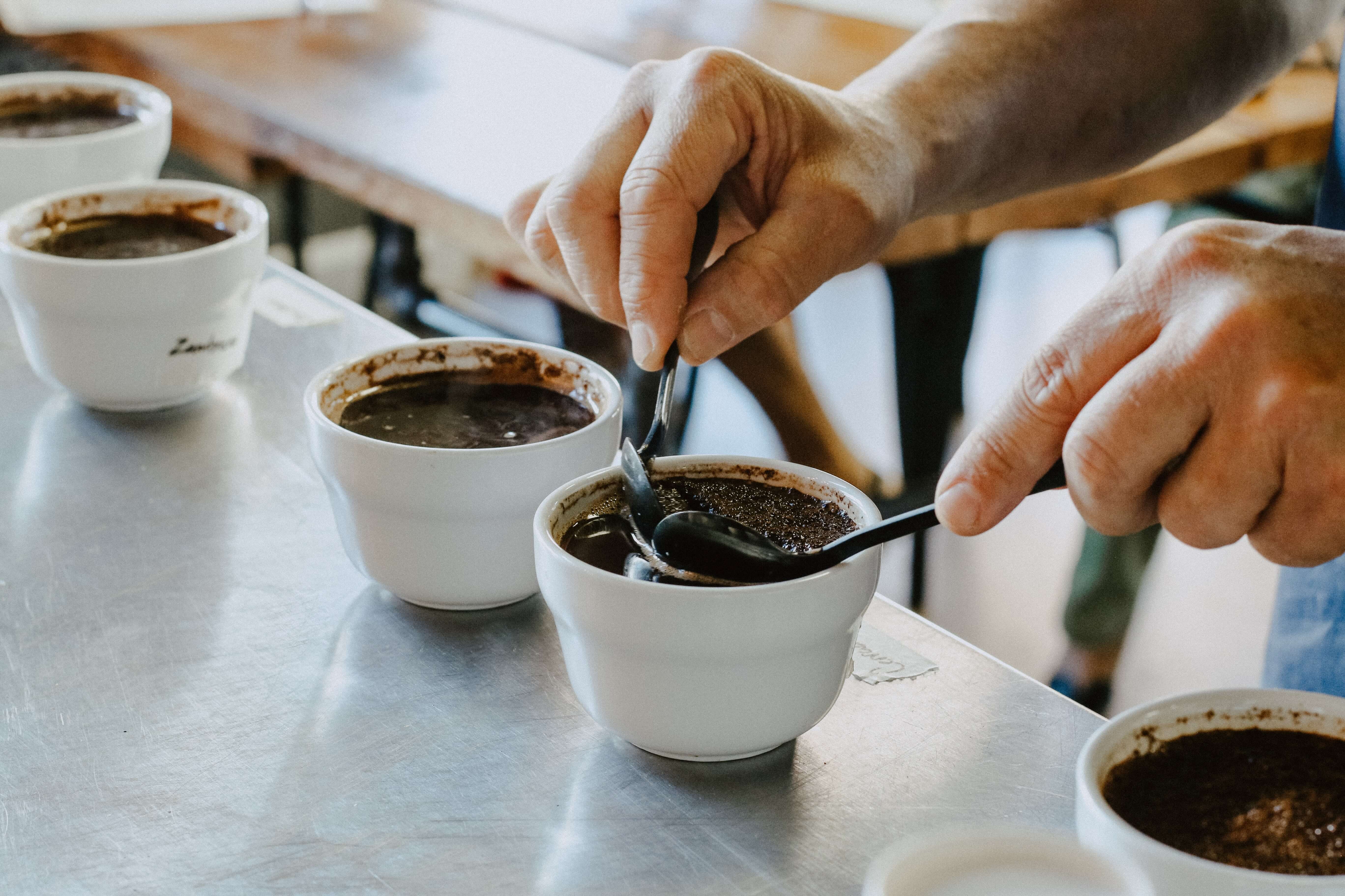 Cupping, czyli profesjonalna degustacja kawy